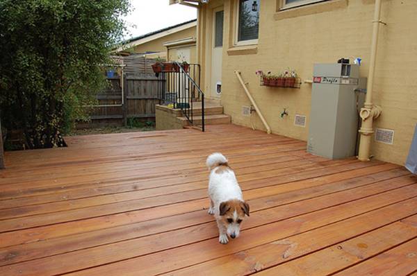 wood deck with dog